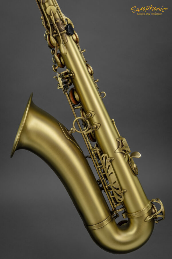 Tenor Saxophone SELMER Paris Reference 54 patiniert patinated 1st hand aus 1. Hand gebraucht used 628xxx