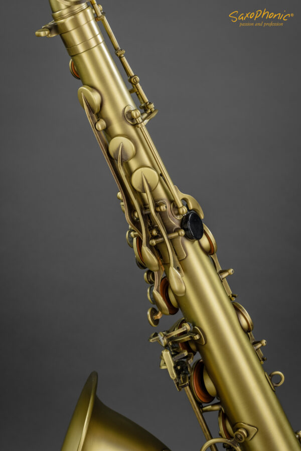 Tenor Saxophone SELMER Paris Reference 54 patiniert patinated 1st hand aus 1. Hand gebraucht used 628xxx