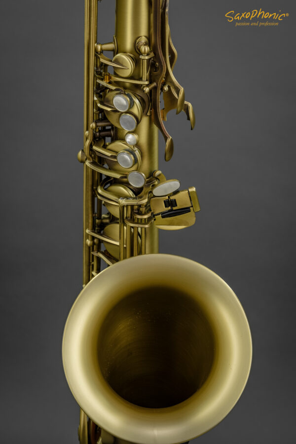 Tenor Saxophone SELMER Paris Reference 54 patiniert patinated 1st hand aus 1. Hand gebraucht used 628xxx