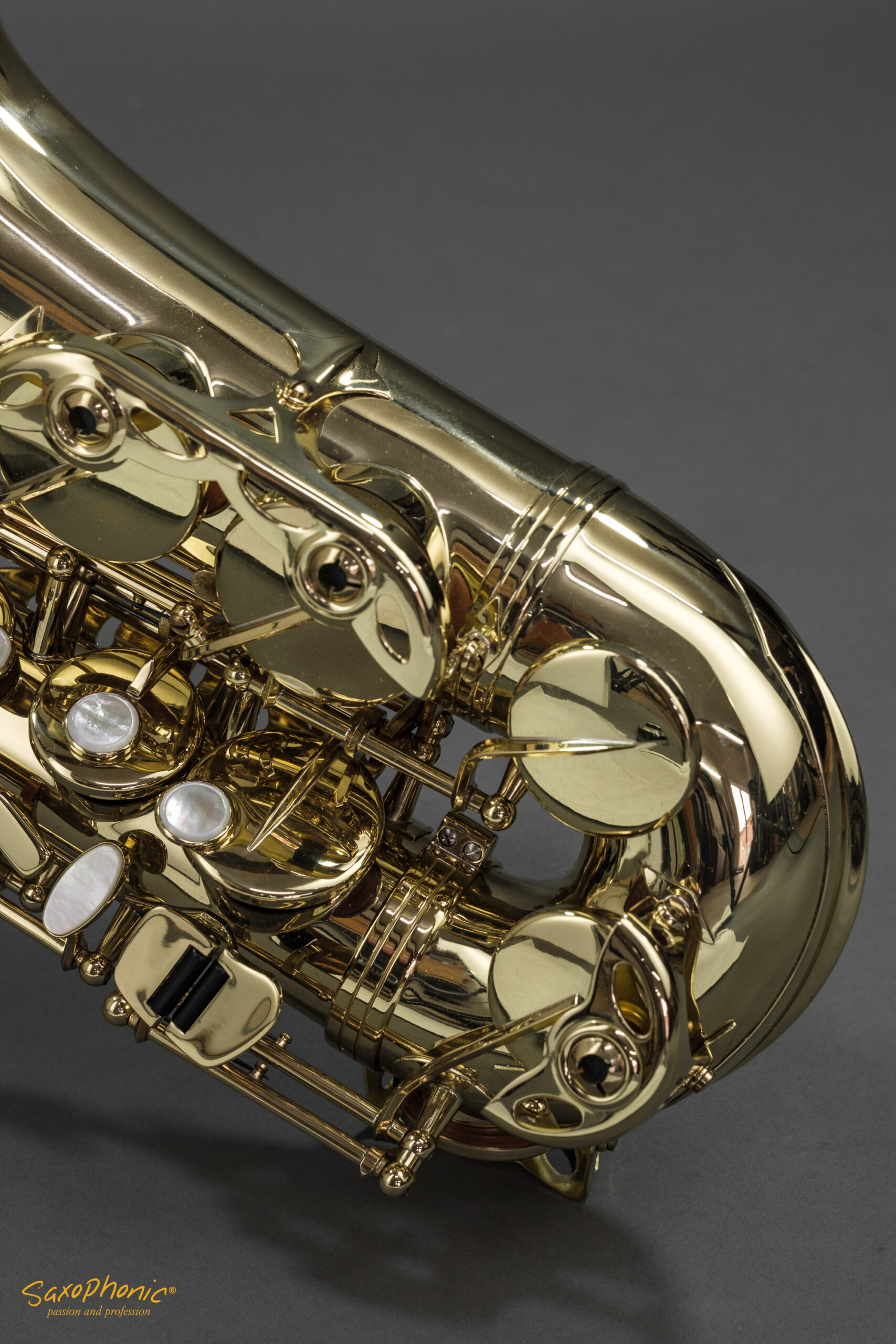 Alto Saxophone SELMER Super Action SA80 II 1st Hand 1. Hand 630363