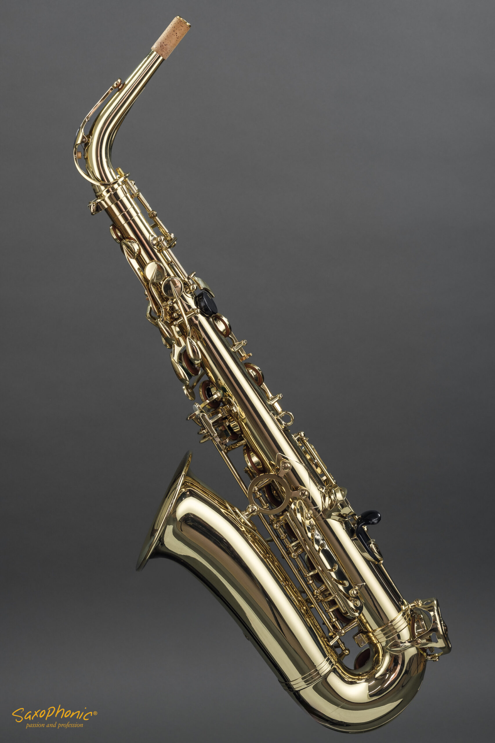 Alto Saxophone SELMER Super Action SA80 II 1st Hand 1. Hand 630363
