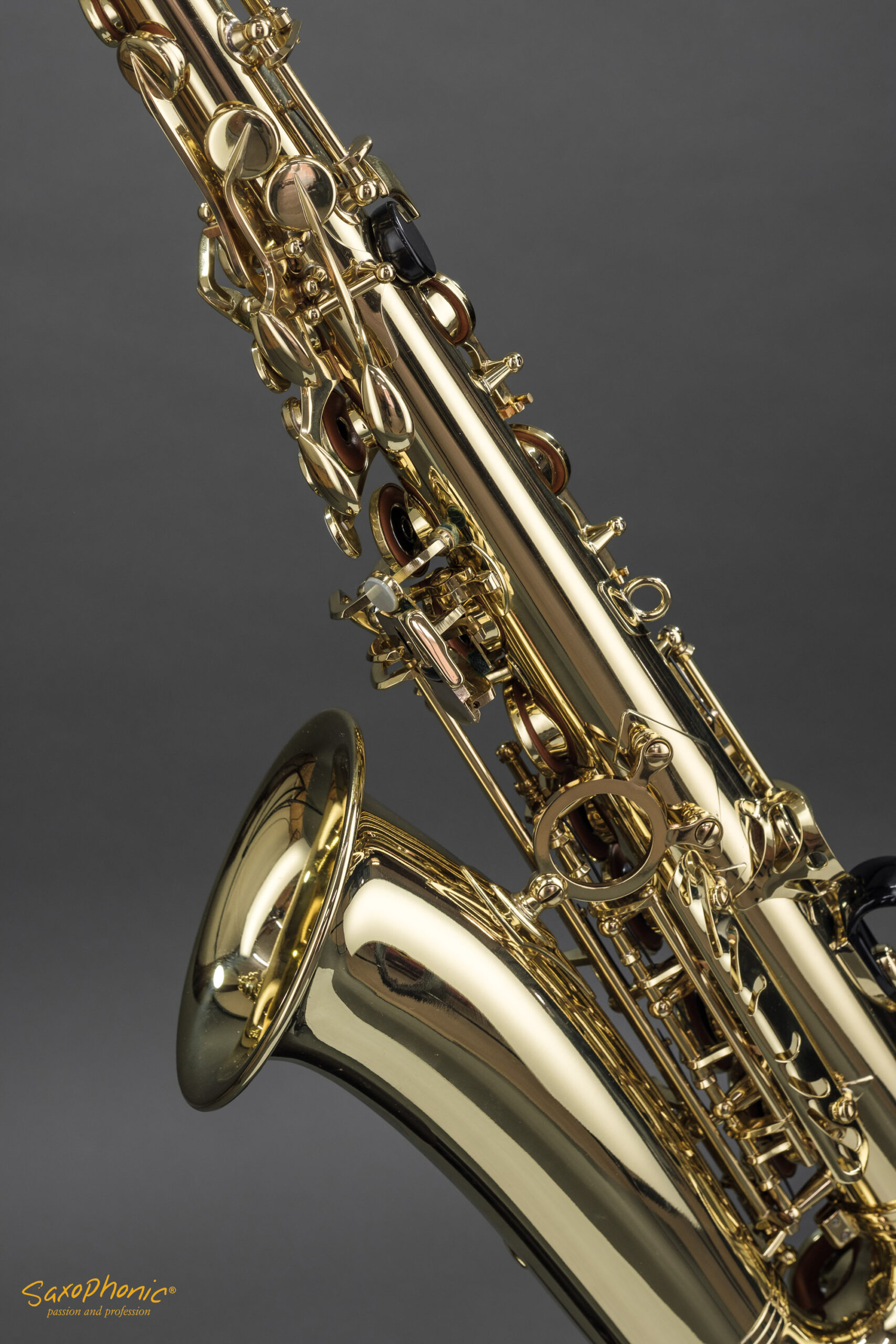Alto Saxophone SELMER Super Action SA80 II 1st Hand 1. Hand 630363