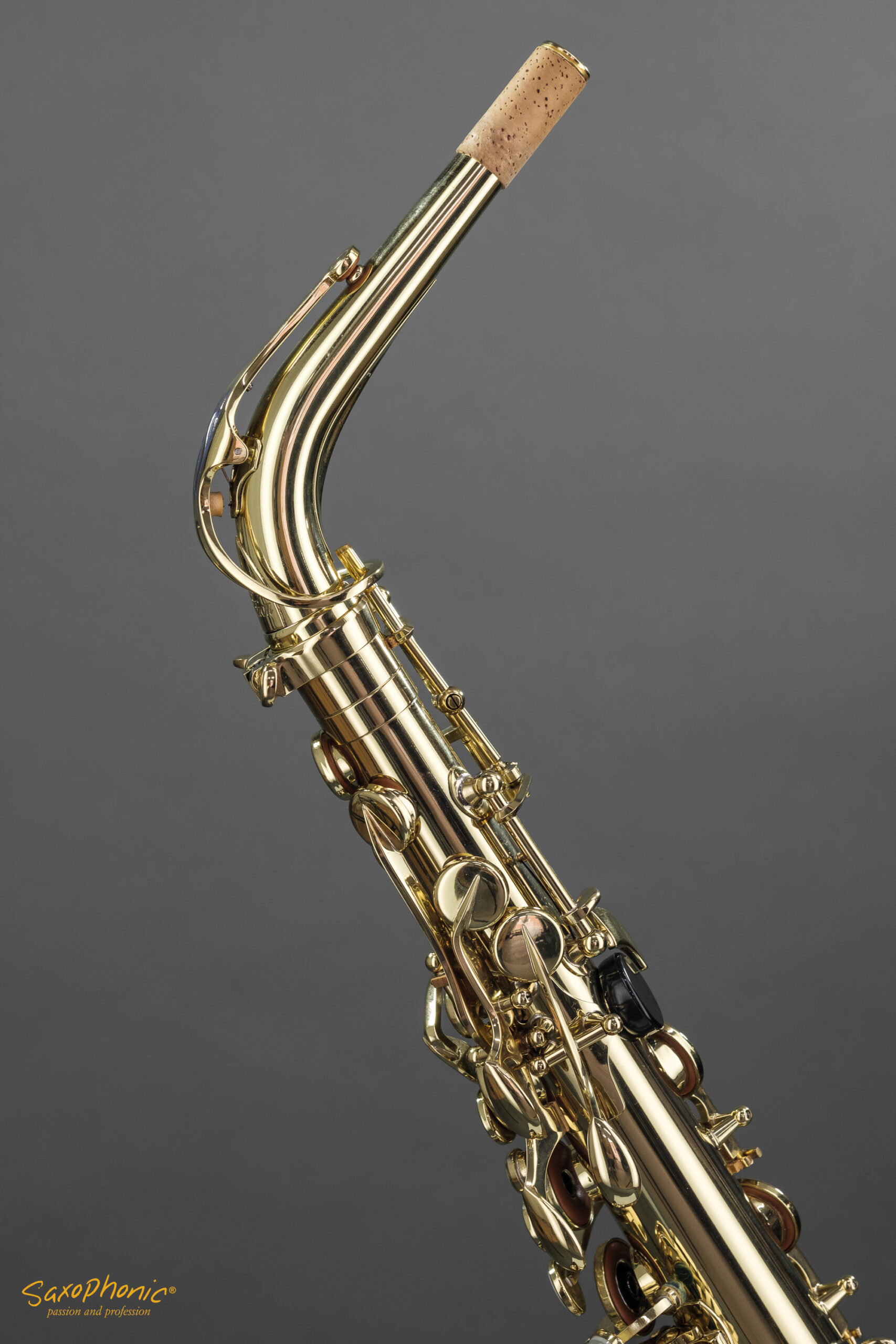 Alto Saxophone SELMER Super Action SA80 II 1st Hand 1. Hand 630363