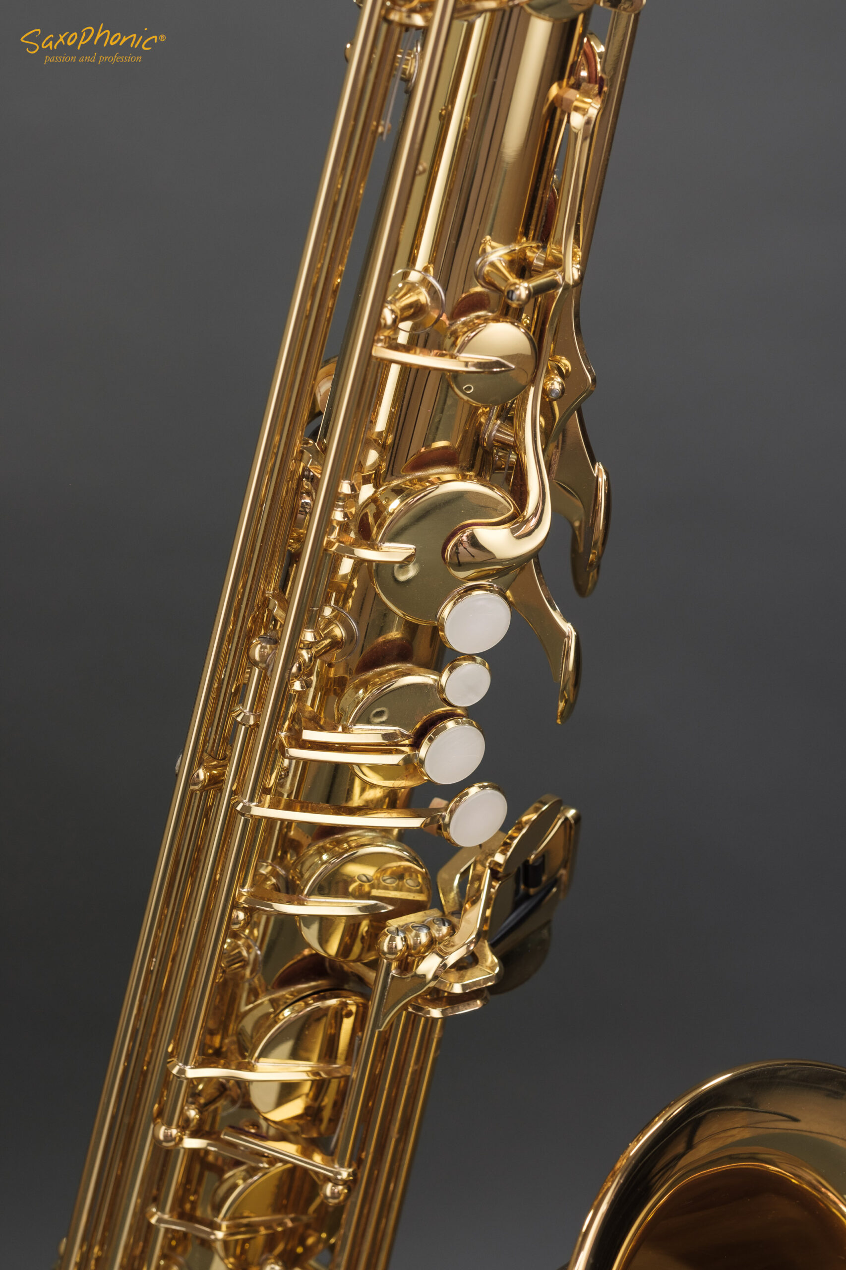 Tenor Saxophone YAMAHA YTS-480 neuwertig mint condition #N67157